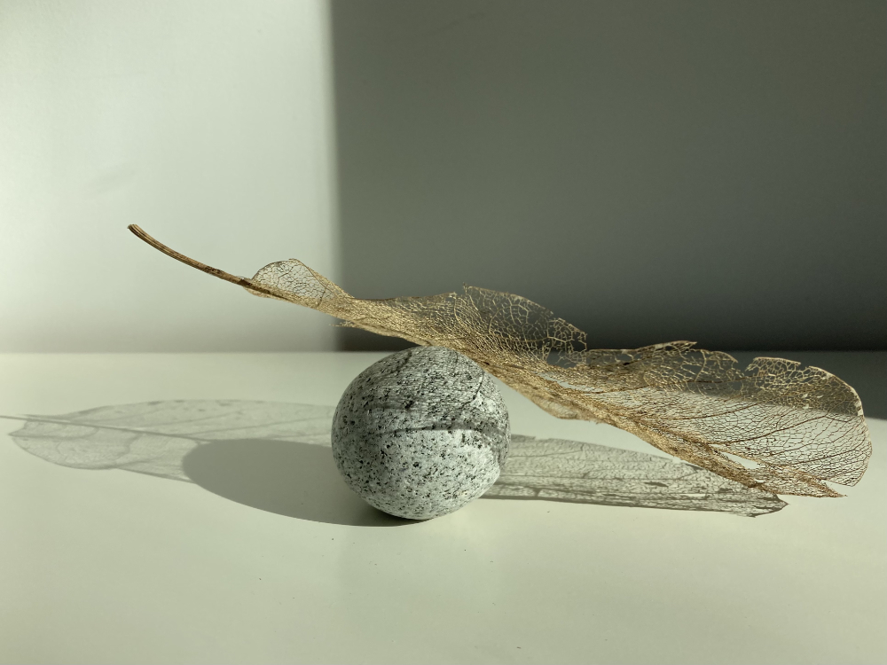 balancing leaf 1